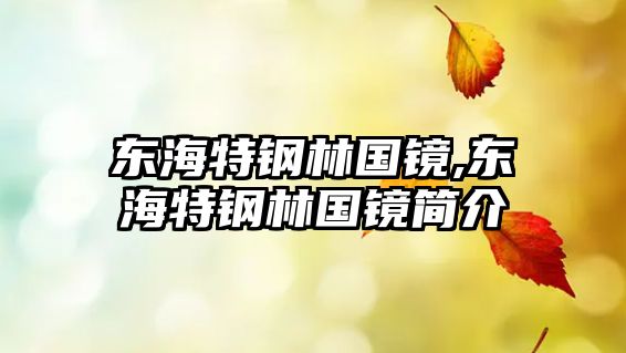 東海特鋼林國鏡,東海特鋼林國鏡簡介