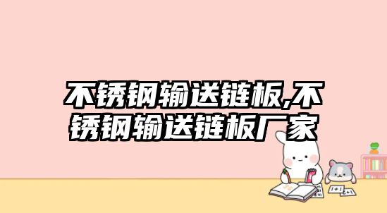 不銹鋼輸送鏈板,不銹鋼輸送鏈板廠家